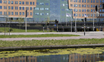 KPMG_220130504_0950.jpg
